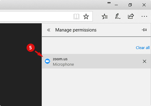 allow mic in edge 5