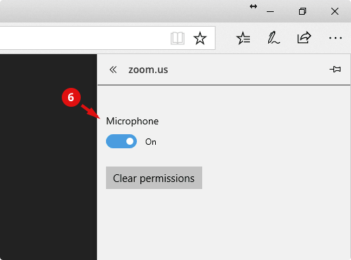 allow mic in edge 6