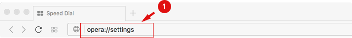 allow mic in opera 1