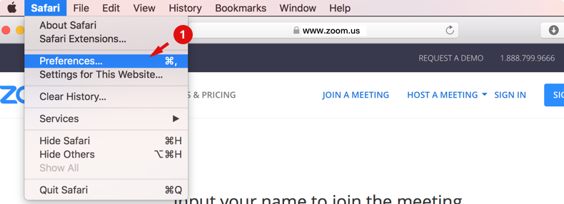 allow mic in safari 1