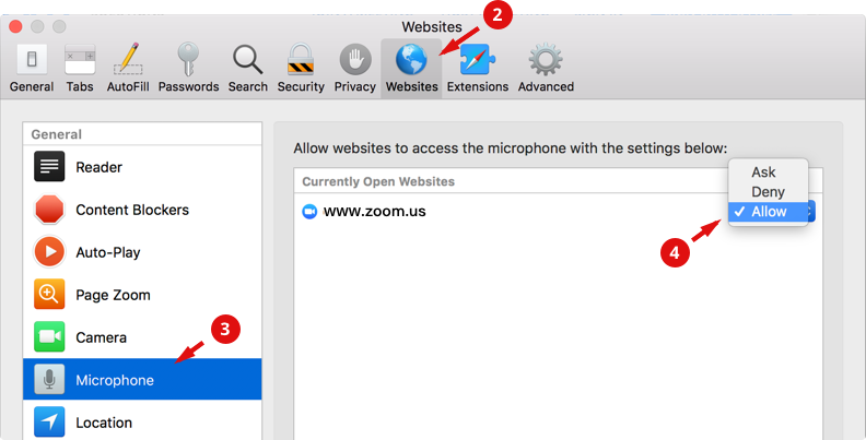 allow mic in safari 2